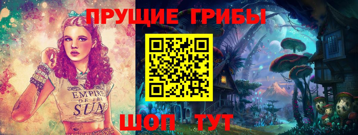 Галлюциногенные грибы Psilocybe Ульяновск